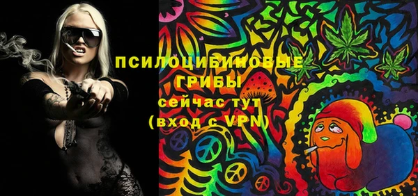 тгк Богданович