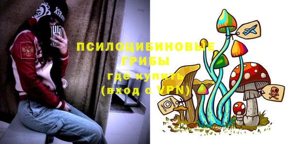 COCAINE Богородицк