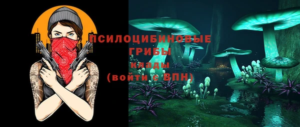 COCAINE Богородицк